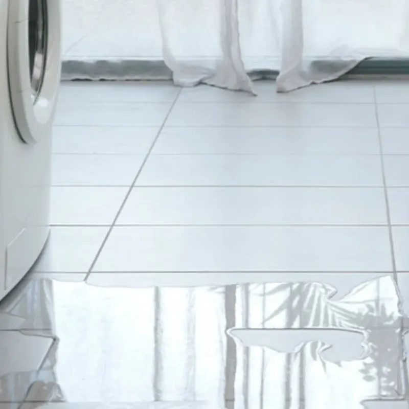 Appliance Leak Cleanup in Clinton County, MO