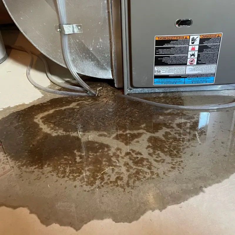 Pipe Burst and Leak Restoration in Clinton County, MO