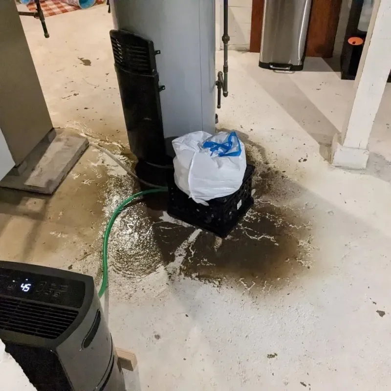 Sewage Backup Cleanup Service in Clinton County, MO
